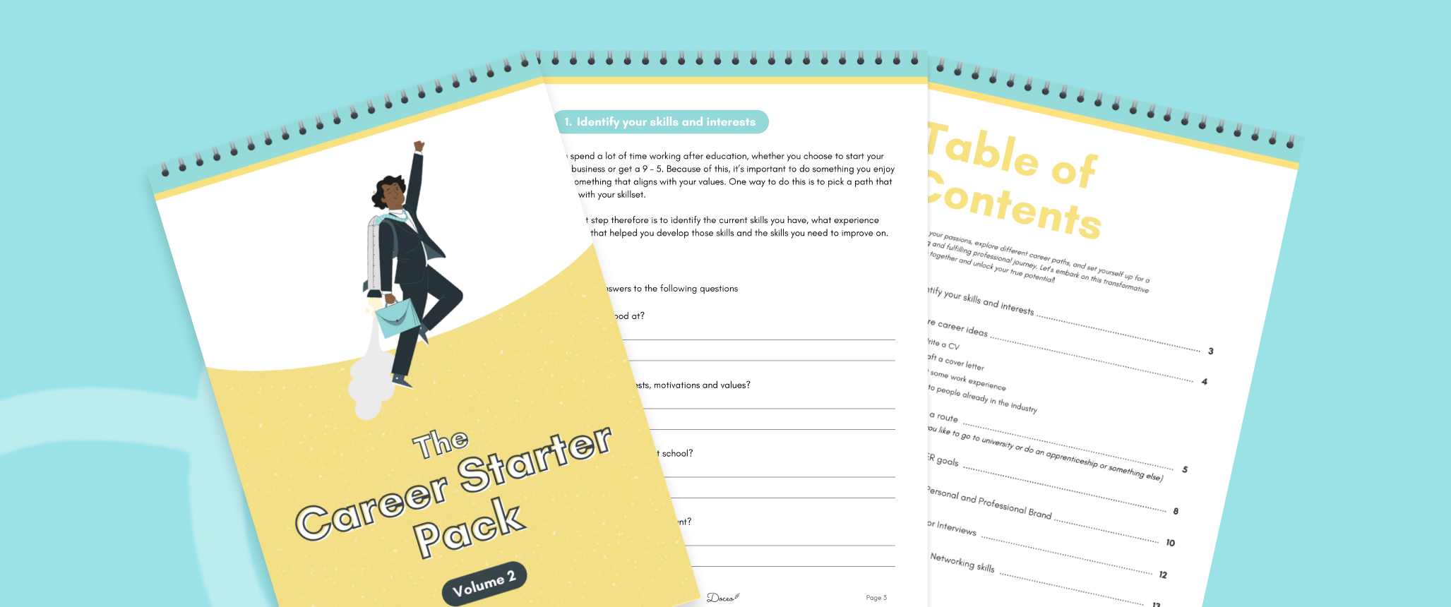 The Career Starter Guide